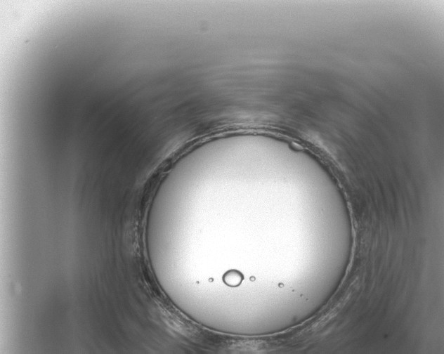 X0000068271211200605051806