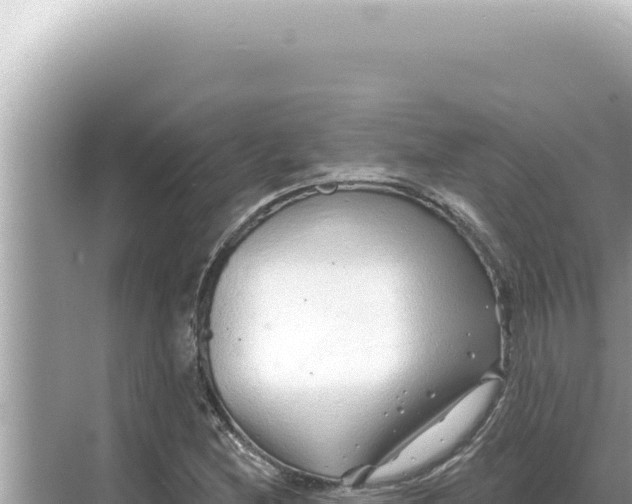 X0000068271212200605051806