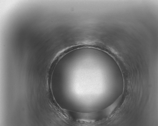 X0000068271214200605051806