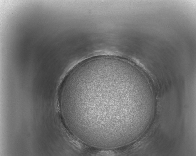 X0000068271215200605051806