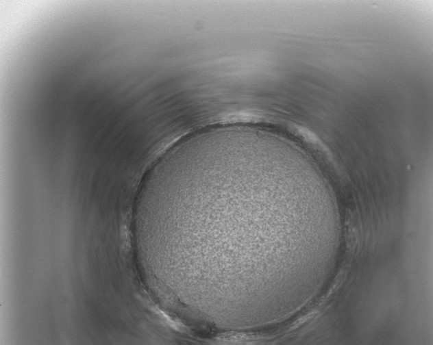 X0000068271217200605051806