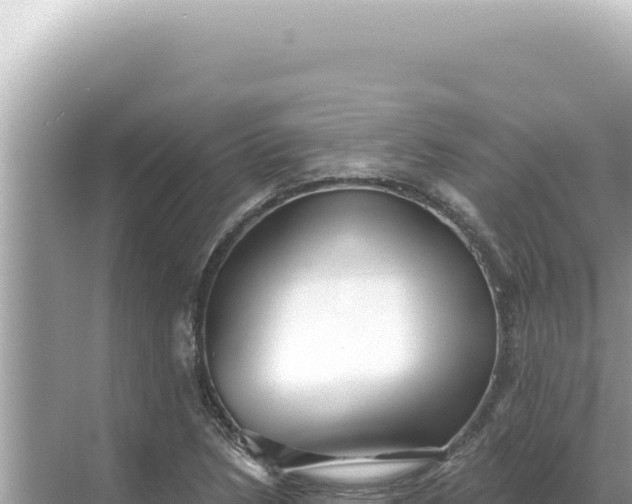 X0000068271218200605051806