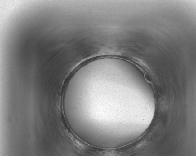 X0000068271220200605051806