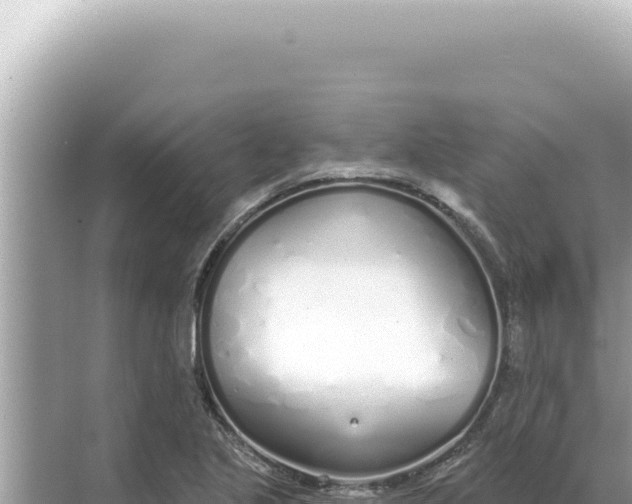 X0000068271221200605051806