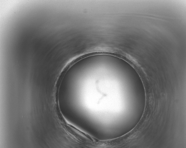 X0000068271222200605051806