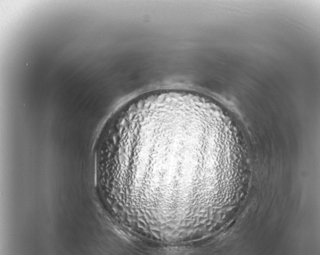 X0000068271223200605051806