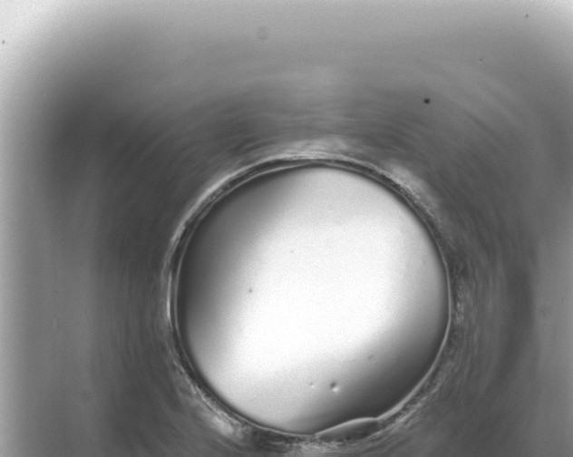 X0000068271224200605051806