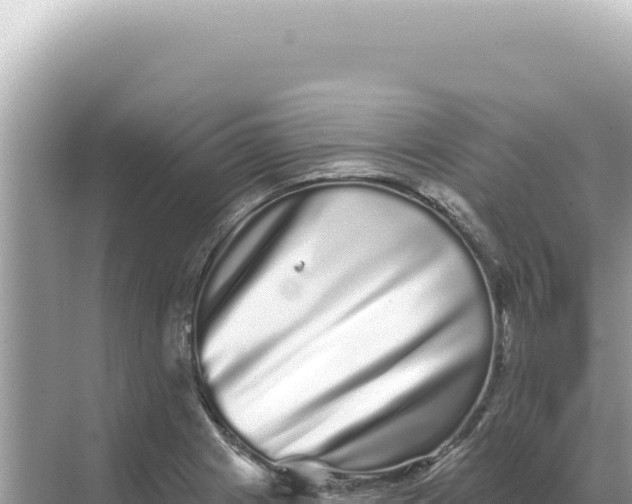 X0000068271225200605051806