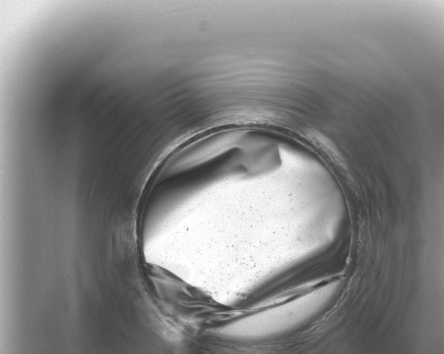 X0000068271226200605051806