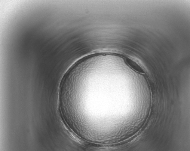 X0000068271228200605051806