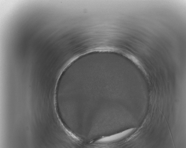 X0000068271229200605051806