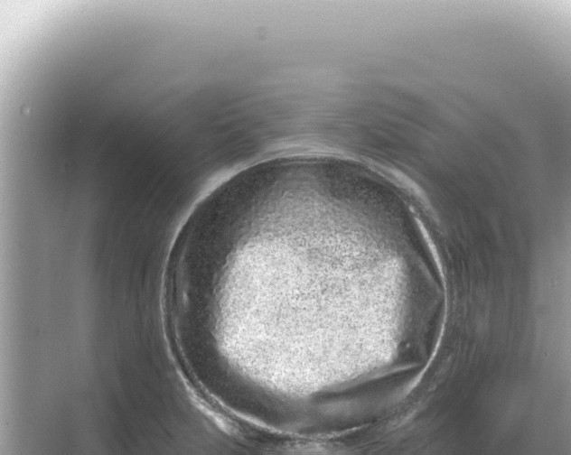 X0000068271231200605051806