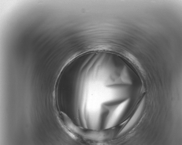 X0000068271234200605051806