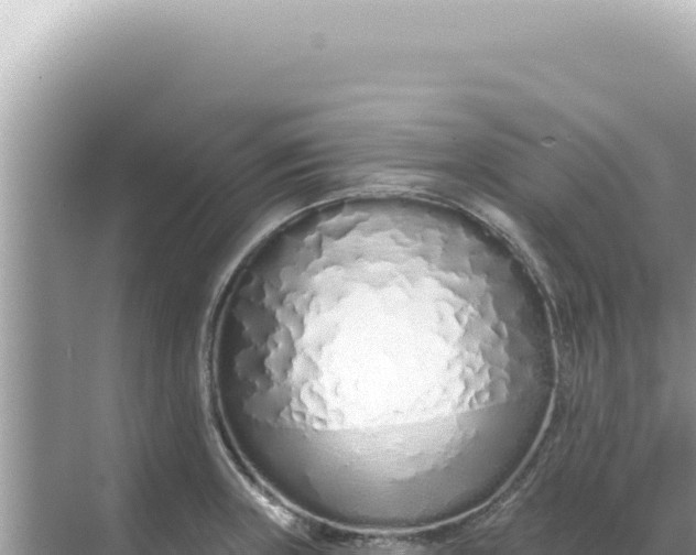 X0000068271235200605051806