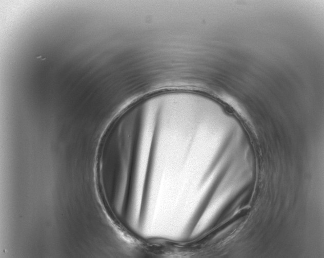 X0000068271237200605051806