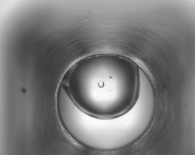 X0000068271238200605051806