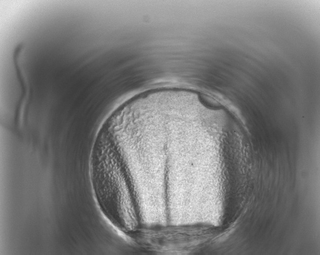 X0000068271239200605051807