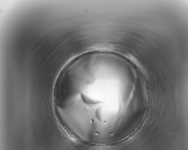 X0000068271240200605051807