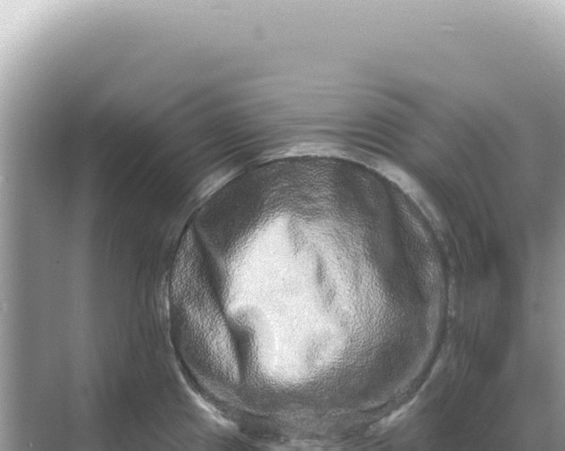 X0000068271241200605051807