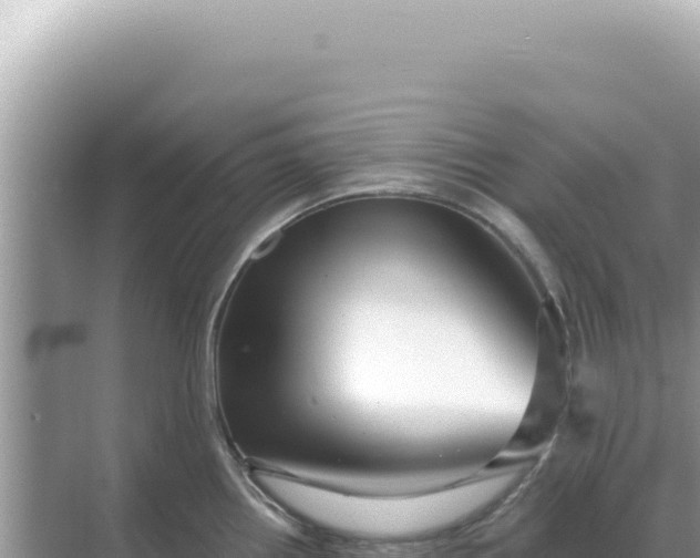 X0000068271242200605051807