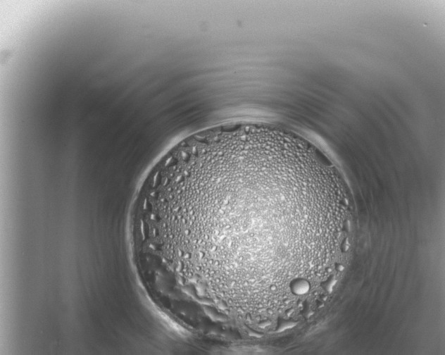 X0000068271243200605051807