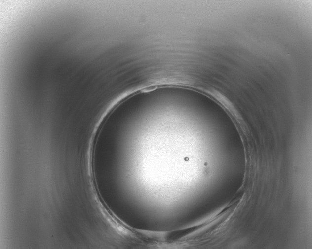 X0000068271246200605051807