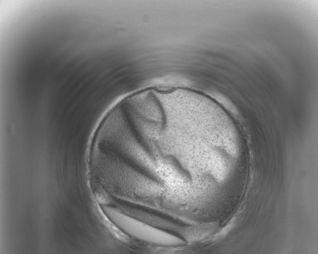 X0000068271248200605051807