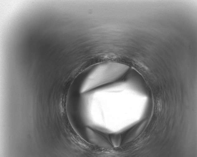 X0000068271250200605051806