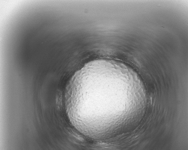 X0000068271251200605051806