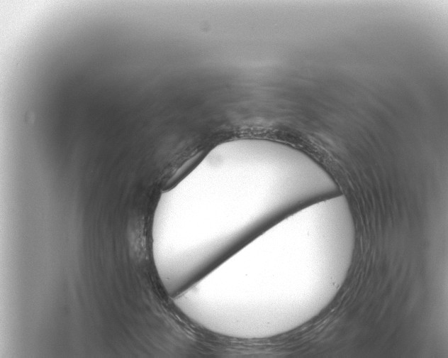 X0000068271252200605051806