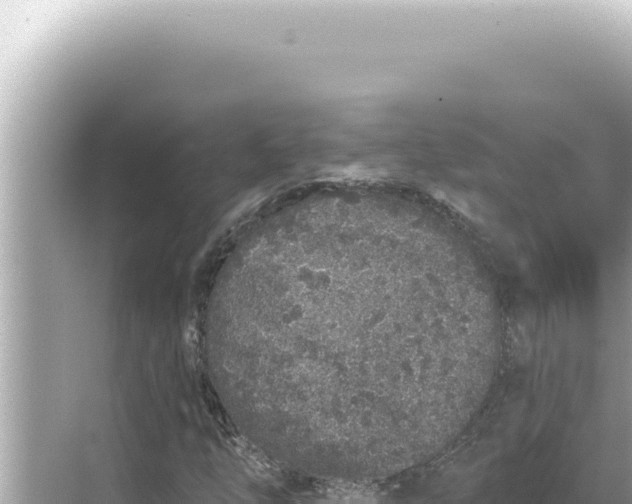 X0000068271254200605051806