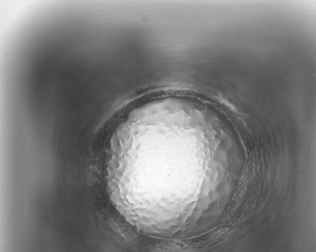 X0000068271255200605051806