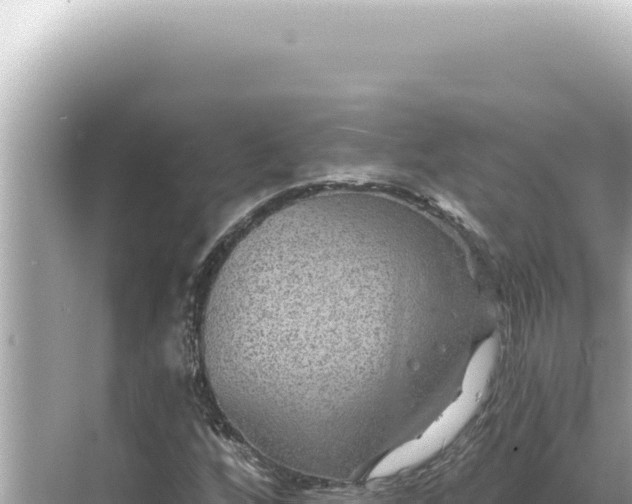 X0000068271256200605051806