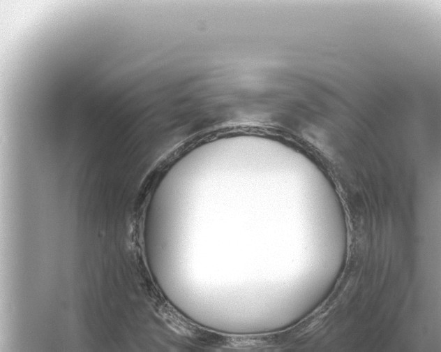 X0000068271258200605051806