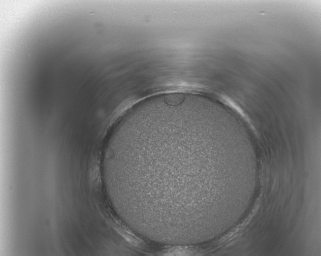 X0000068271259200605051806