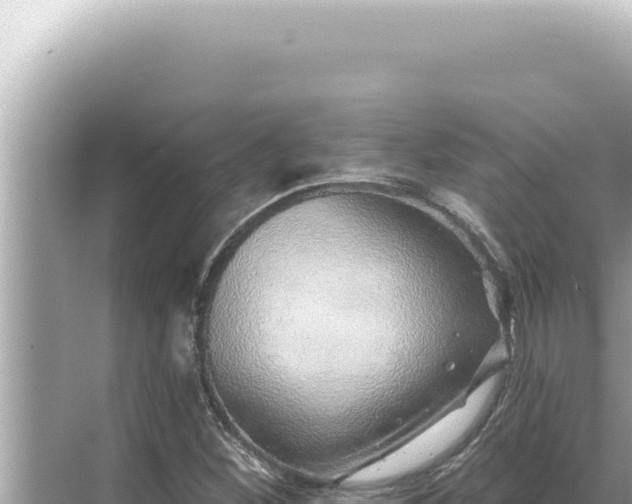 X0000068271260200605051806