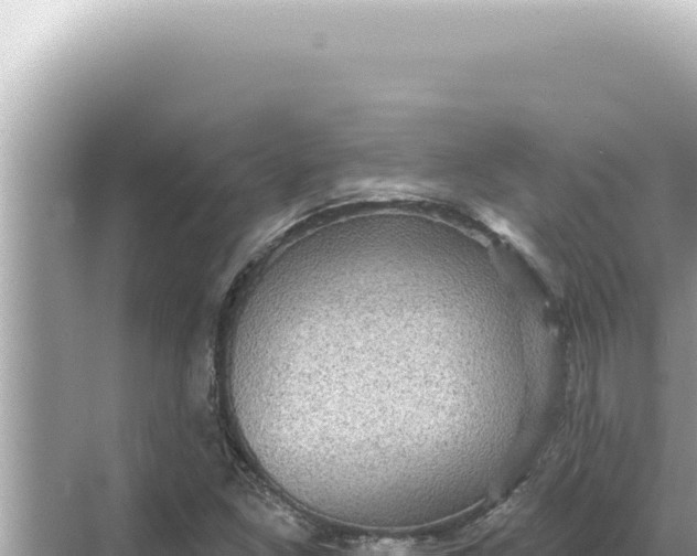 X0000068271261200605051806