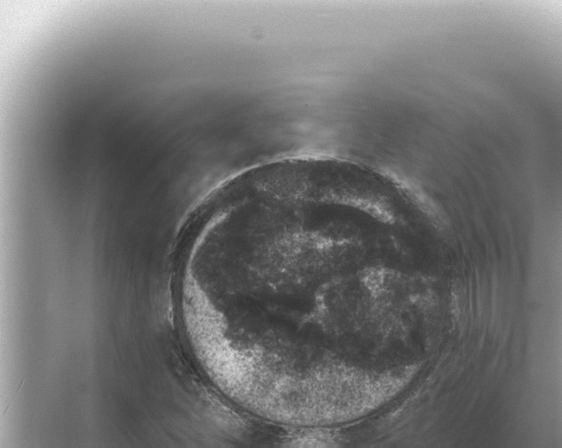 X0000068271262200605051806