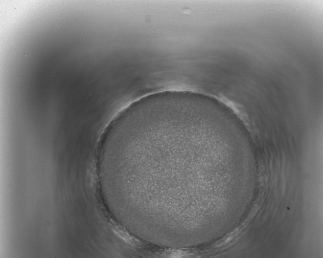 X0000068271263200605051806