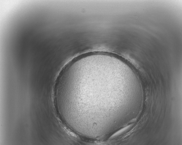 X0000068271264200605051806