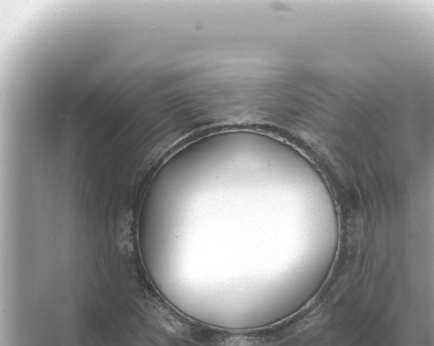 X0000068271265200605051806