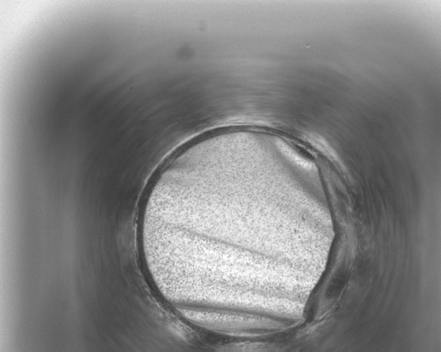 X0000068271268200605051806