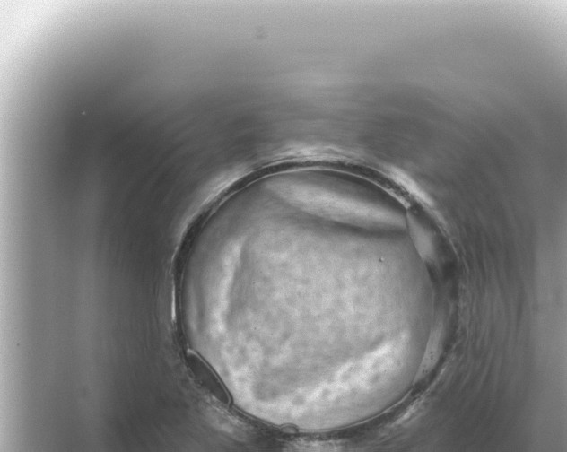 X0000068271269200605051806