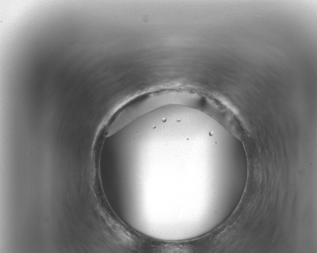 X0000068271270200605051806