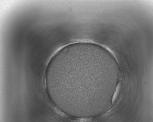 X0000068271271200605051805