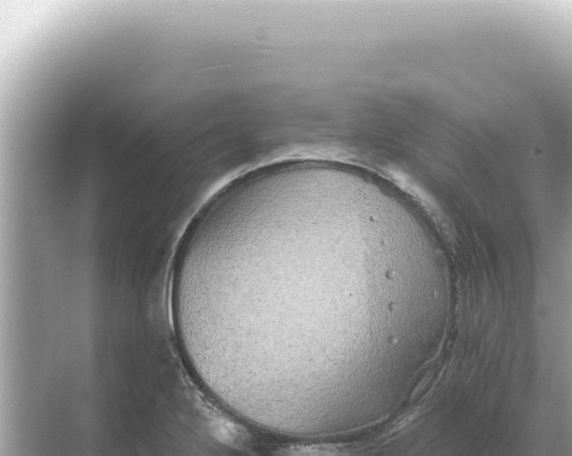 X0000068271272200605051805