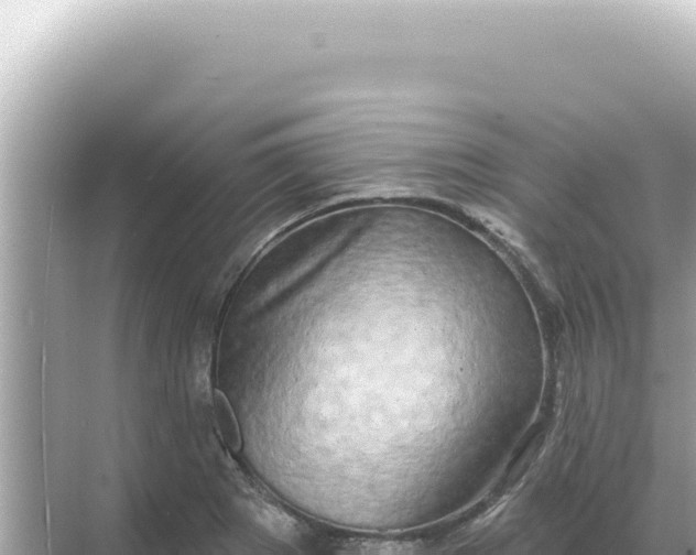 X0000068271273200605051805