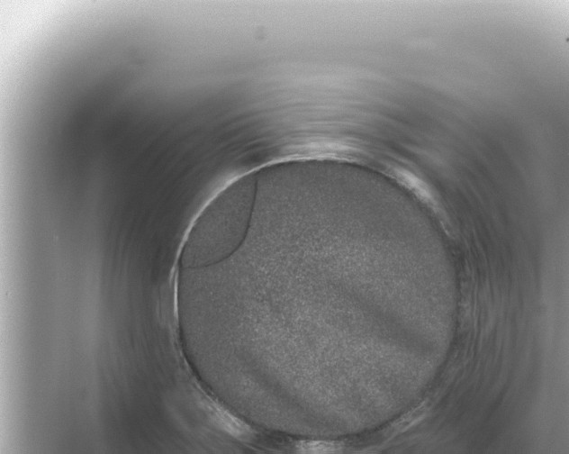 X0000068271275200605051805