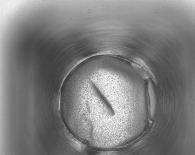 X0000068271276200605051805