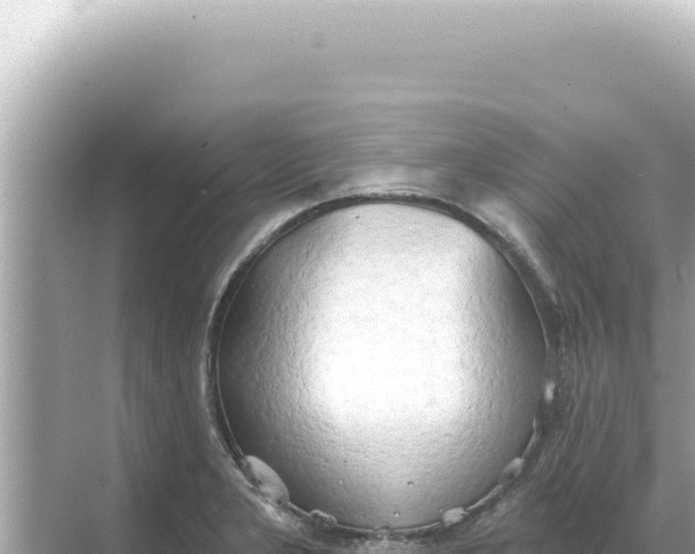 X0000068271277200605051805